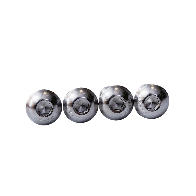 SS304 ISO7380 M10 Head Vints