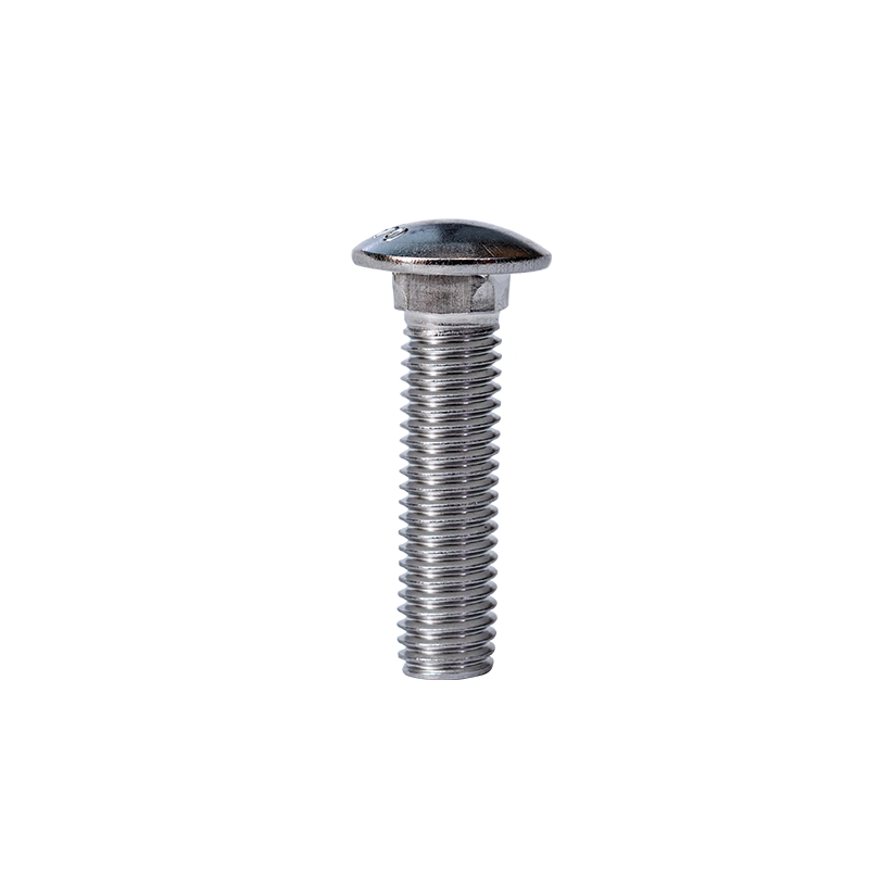 SS304 GB12-76 M10 стакана головы квадратная шея болтов