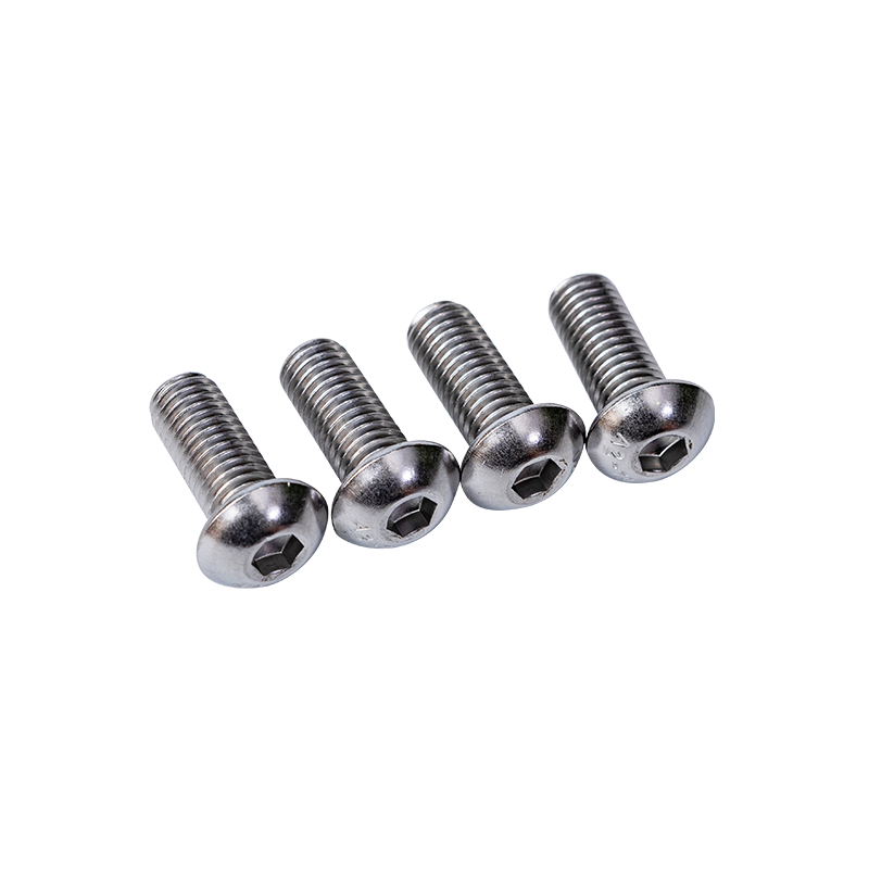 SS 304 ISO 7380 M4 Head Vints